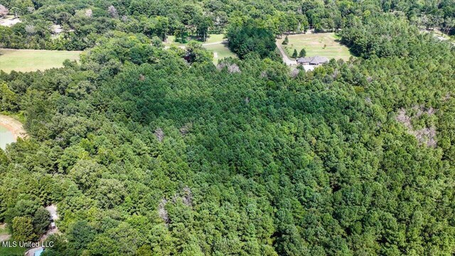 00002 Trickhambridge Rd, Brandon, MS 39042