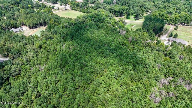 00002 Trickhambridge Rd, Brandon, MS 39042