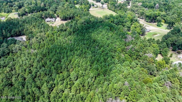 00002 Trickhambridge Rd, Brandon, MS 39042