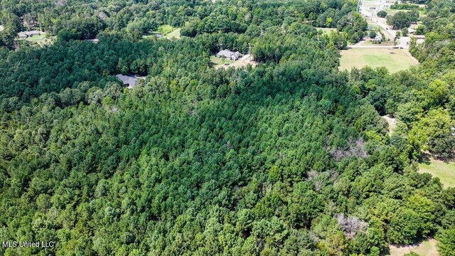 00002 Trickhambridge Rd, Brandon, MS 39042