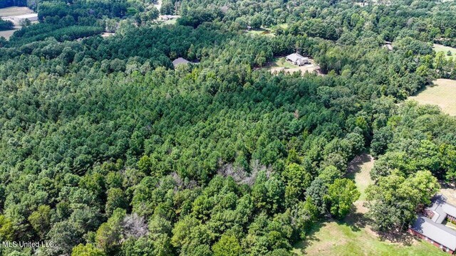 00002 Trickhambridge Rd, Brandon, MS 39042