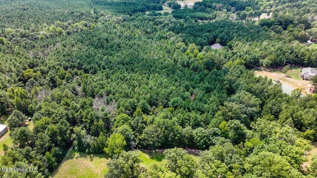 00002 Trickhambridge Rd, Brandon, MS 39042