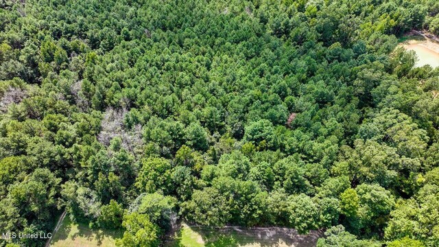 00002 Trickhambridge Rd, Brandon, MS 39042
