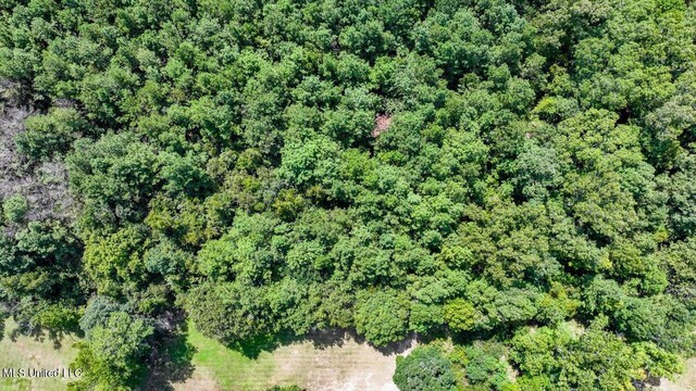 00002 Trickhambridge Rd, Brandon, MS 39042