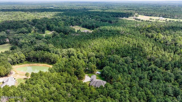 00002 Trickhambridge Rd, Brandon, MS 39042