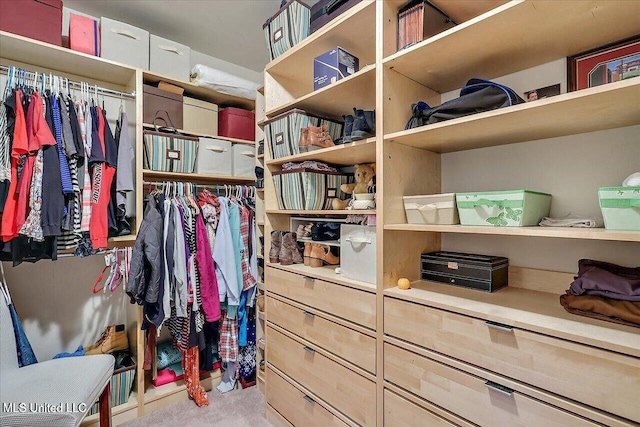38 Savannah Cir, Brandon, MS 39047 - view of walk in closet