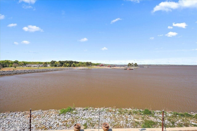38 Savannah Cir, Brandon, MS 39047 - water view