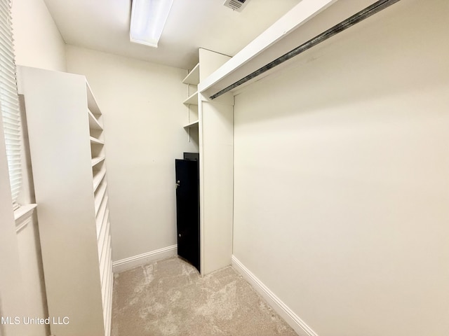 spacious closet featuring light colored carpet