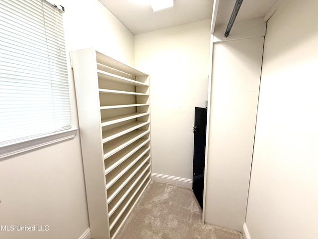 spacious closet with carpet floors