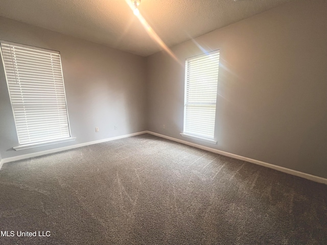 unfurnished room featuring carpet floors and a textured ceiling