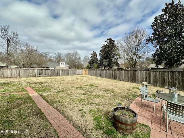 view of yard featuring a patio area