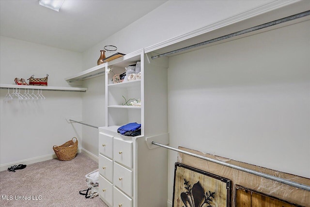 spacious closet featuring light carpet