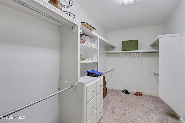 spacious closet featuring light carpet