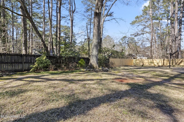 view of yard featuring a fenced backyard