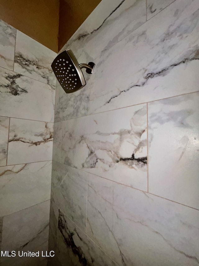 309 College St, Carthage, MS 39051 - details featuring tiled shower