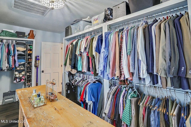 spacious closet featuring dark wood-type flooring