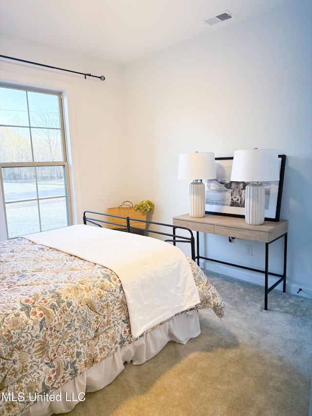 bedroom featuring carpet