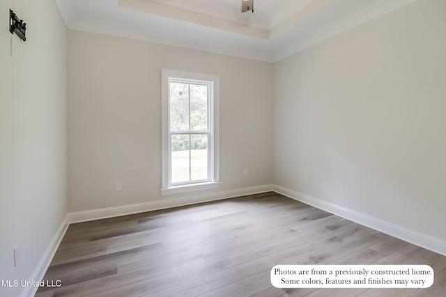 empty room featuring baseboards, a tray ceiling, and wood finished floors