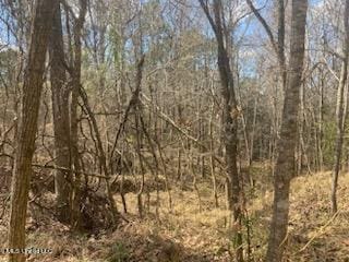 00 Turkey Creek Rd, Natchez MS, 39120 land for sale