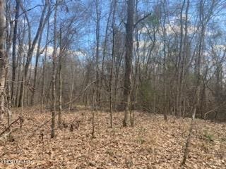 Listing photo 2 for 00 Turkey Creek Rd, Natchez MS 39120