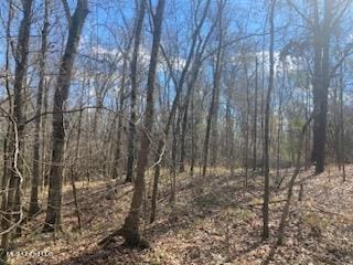 Listing photo 3 for 00 Turkey Creek Rd, Natchez MS 39120