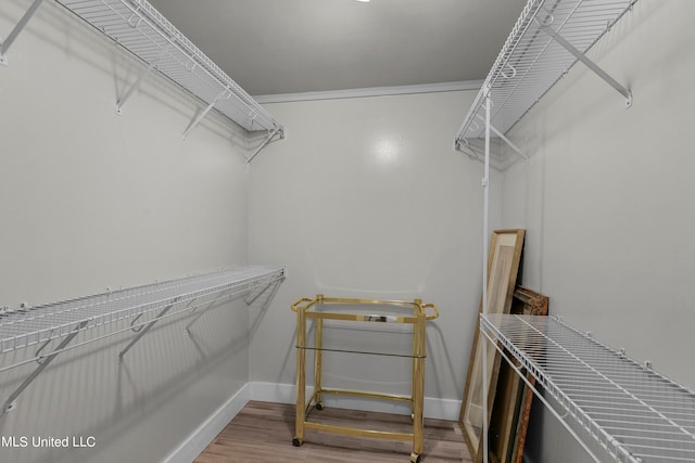 walk in closet featuring wood-type flooring