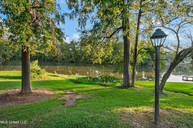 view of community featuring a water view and a lawn