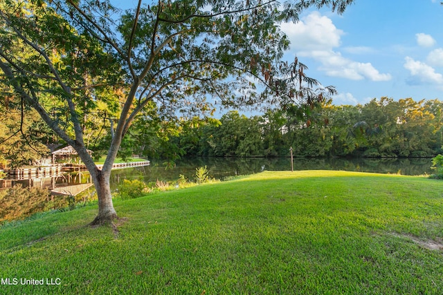 view of yard featuring a water view