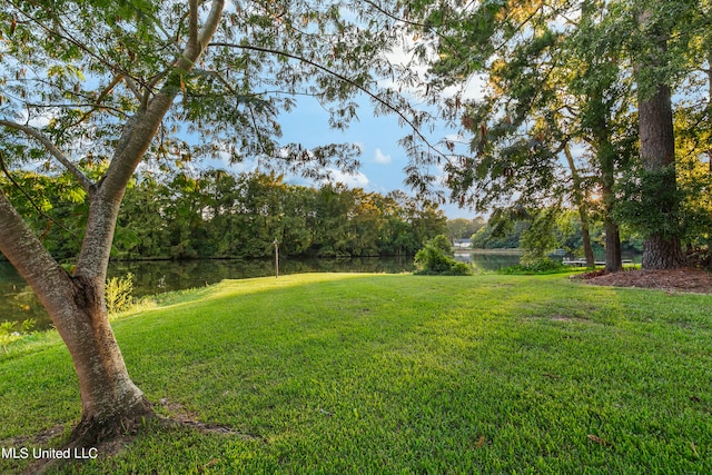 view of yard featuring a water view