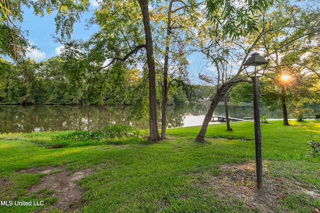 view of yard with a water view