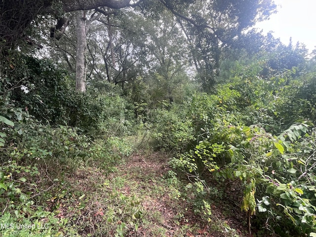 LOT3 S 16th St, Ocean Springs, MS 39564