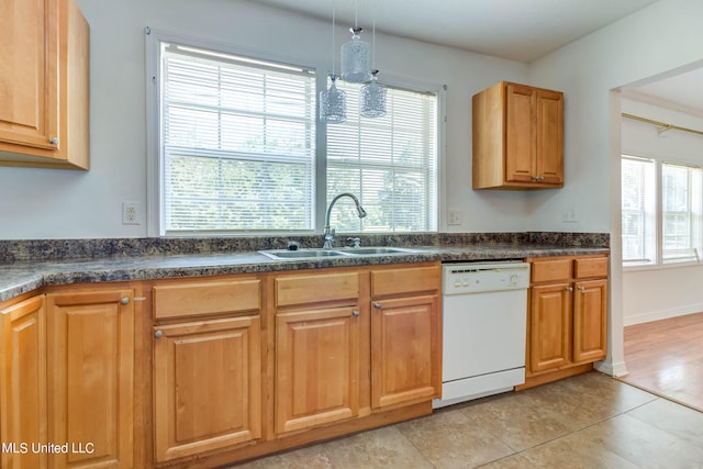 kitchen with dishwasher and a wealth of natural light