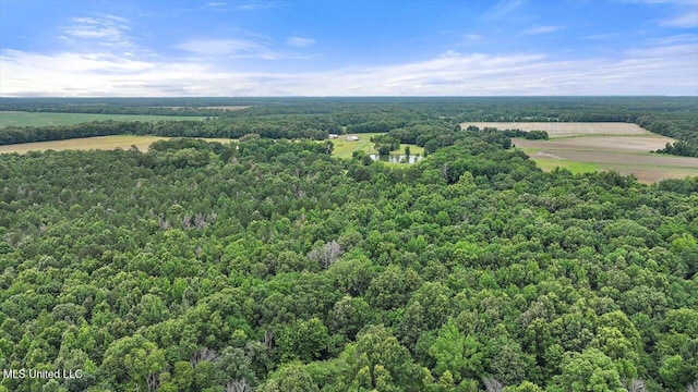 0 Parker Rd, Pelahatchie, MS 39145
