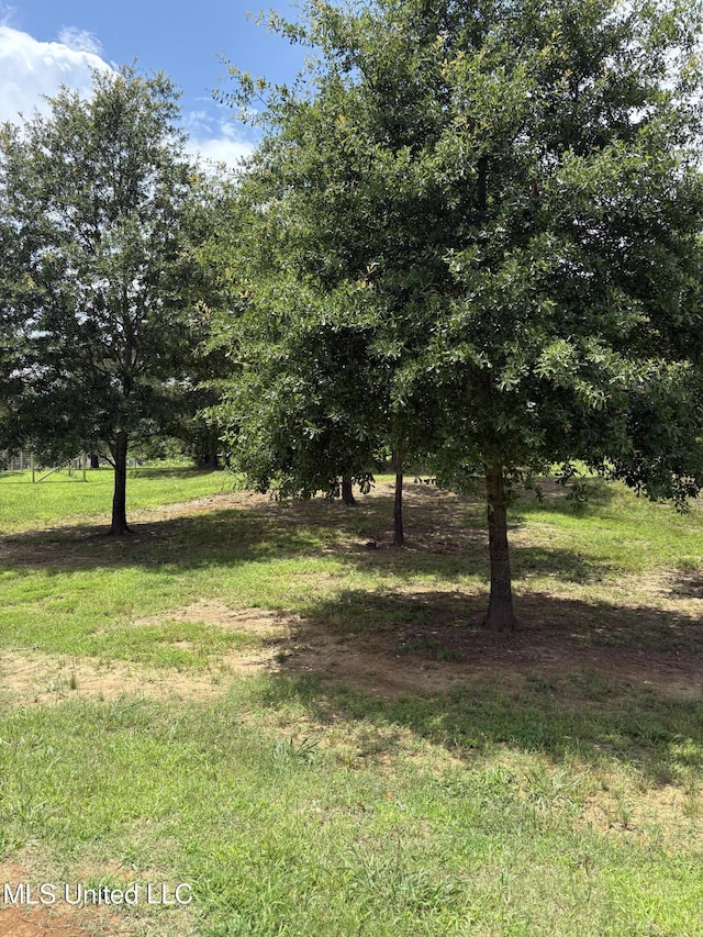 126 Deerfield Trce, Coldwater, MS 38618 - view of green lawn