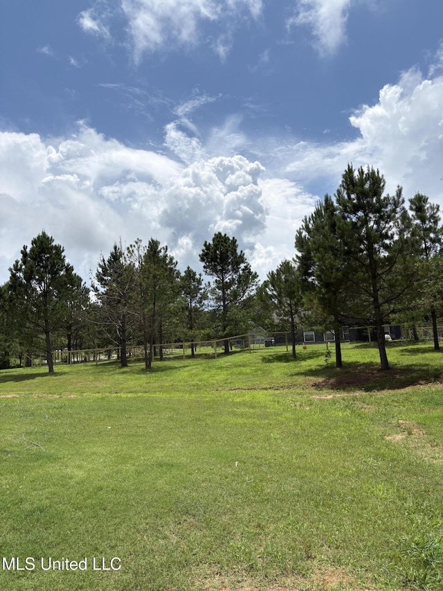 126 Deerfield Trce, Coldwater, MS 38618 - view of grassy yard