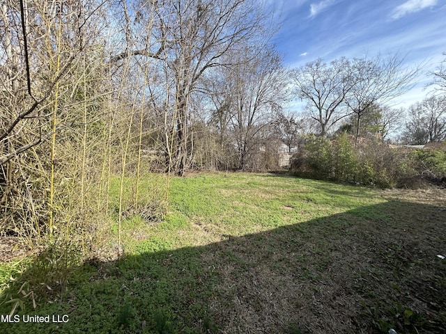1004 Spengler St, Jackson, MS 39202 - view of green lawn