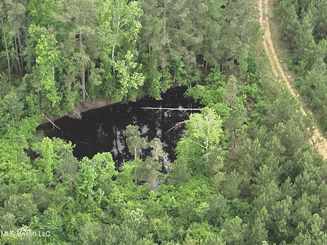 Old Pickens Rd, Kosciusko, MS 39090