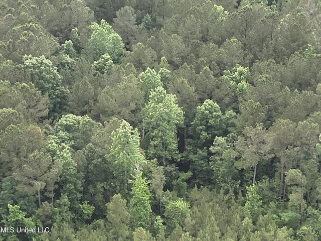 Old Pickens Rd, Kosciusko, MS 39090