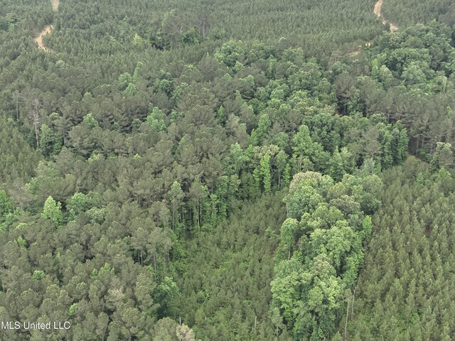Old Pickens Rd, Kosciusko, MS 39090