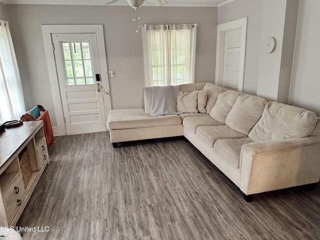 90 Holmes St, Lucedale, MS 39452 - living area featuring dark wood-style floors, ornamental molding, and ceiling fan