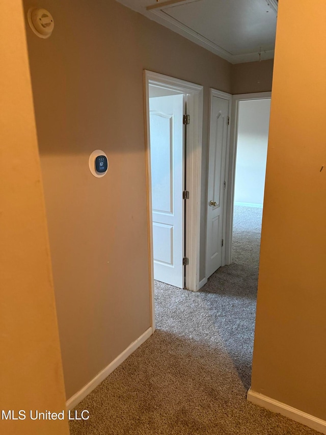 hallway featuring carpet floors