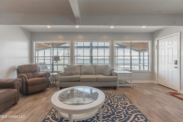 95 Nesting Site, Vicksburg, MS 39183 - living area featuring a wealth of natural light, recessed lighting, baseboards, and wood finished floors