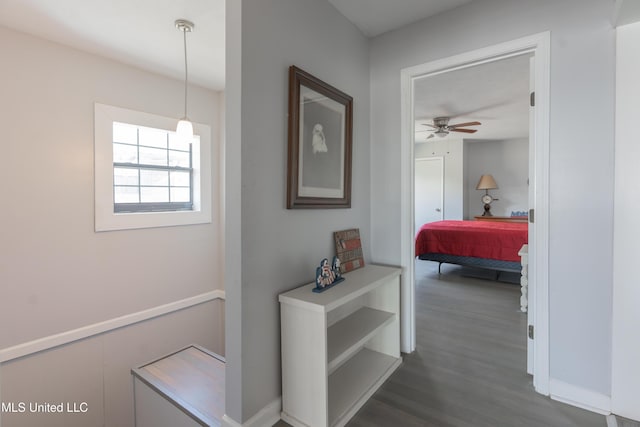 95 Nesting Site, Vicksburg, MS 39183 - hall featuring dark wood-style floors