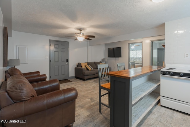 95 Nesting Site, Vicksburg, MS 39183 - living area featuring a textured ceiling, a ceiling fan, and light wood-style floors