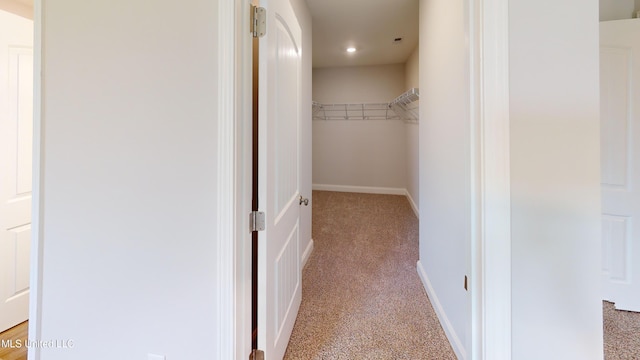 spacious closet featuring light carpet