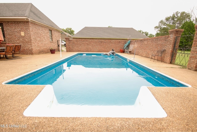 view of pool featuring a patio