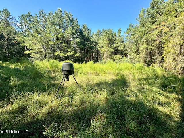 Flat Top Rd, Picayune MS, 39466 land for sale