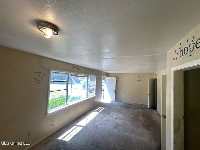 unfurnished room with carpet and a textured ceiling