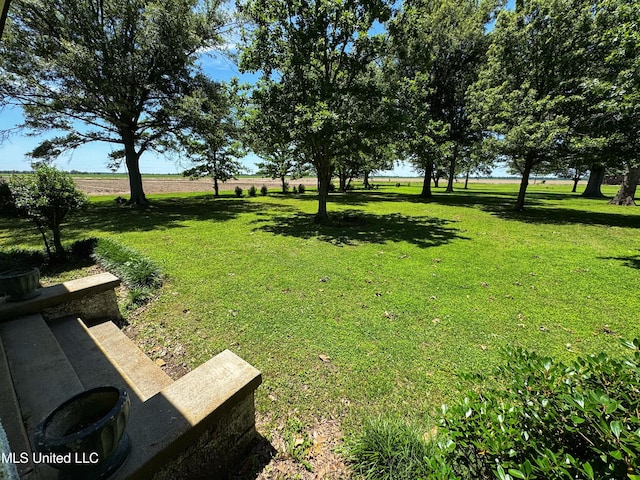 5010 Old Hwy 49, Clarksdale, MS 38614 - view of green lawn