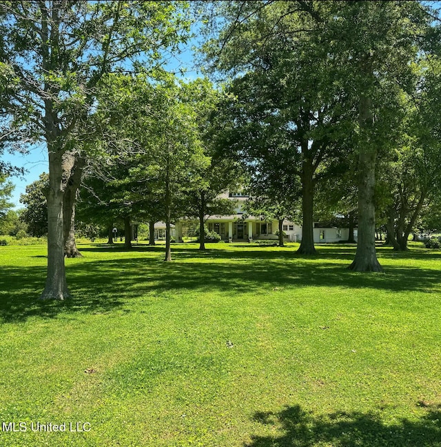 5010 Old Hwy 49, Clarksdale, MS 38614 - view of grassy yard